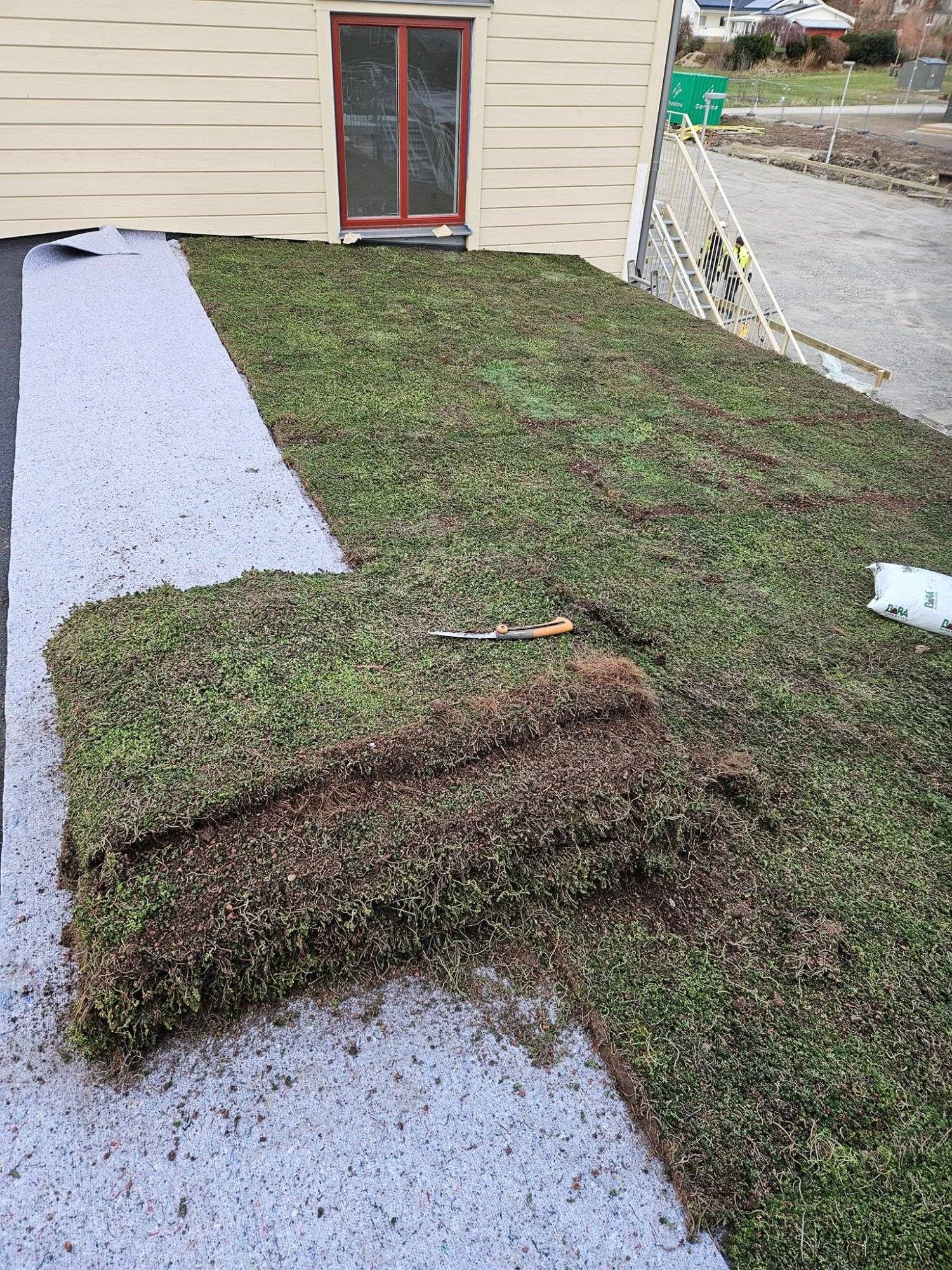 Sedumtak installation