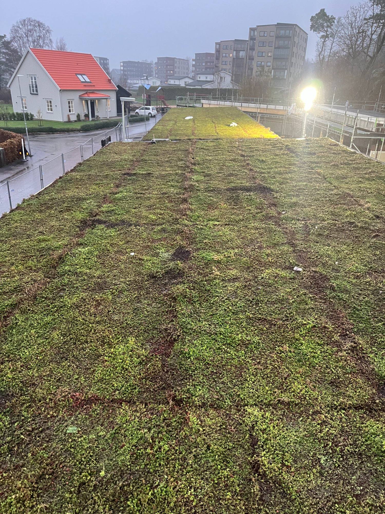 Sedumtak kommersiel byggnad